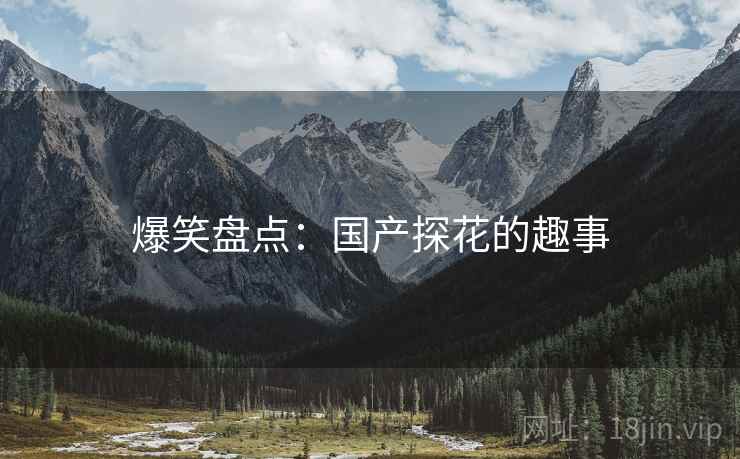爆笑盘点:国产探花的趣事  第2张 爆笑盘点:国产探花的趣事  第2张