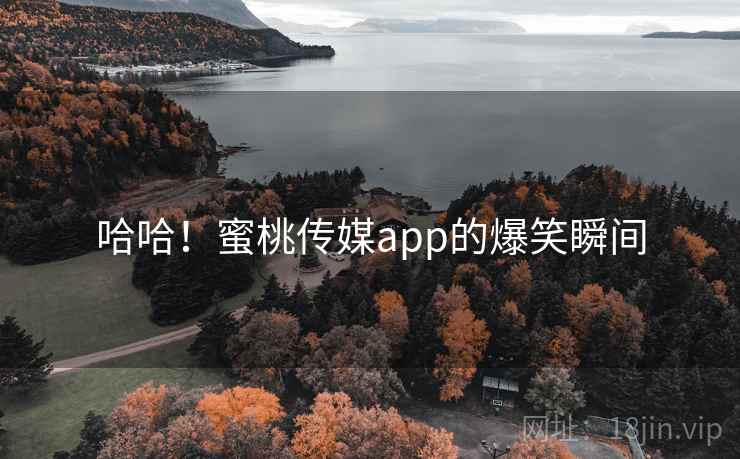 哈哈!蜜桃传媒app的爆笑瞬间