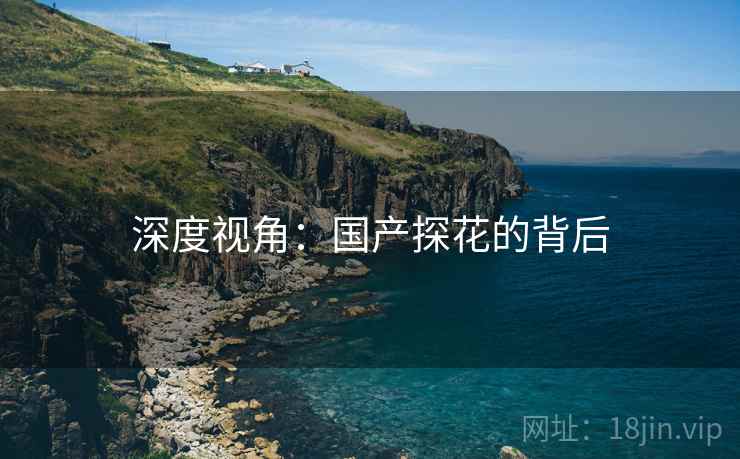 深度视角:国产探花的背后  第2张 深度视角:国产探花的背后  第2张