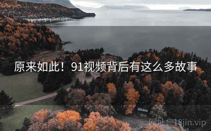 原来如此!91视频背后有这么多故事