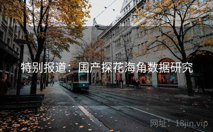 特别报道:国产探花海角数据研究