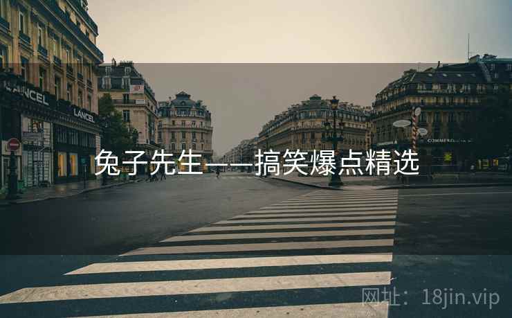 兔子先生——搞笑爆点精选