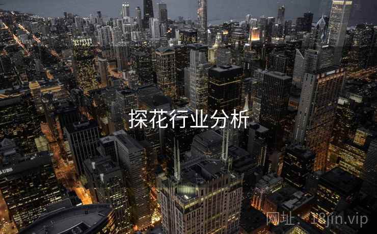 探花行业分析