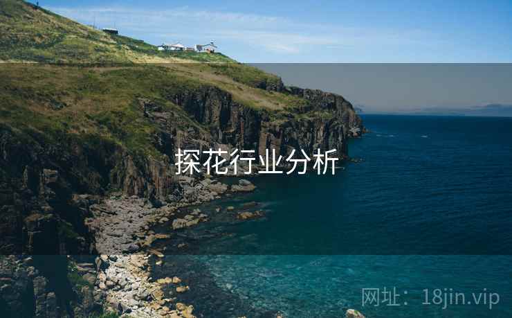 探花行业分析