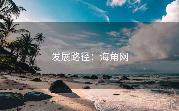 发展路径：海角网